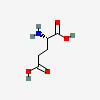 GLUTAMATE