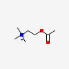 acetylcholine