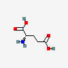 GLUTAMATE (glutamic acid)