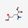 glutamate