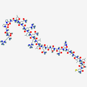 orexin b