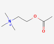 acetylcholine molecule