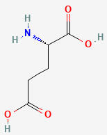 glutamate molecule