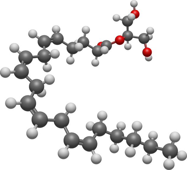 2-AG Molecule by Mplanine