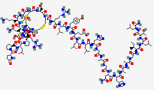 OREXIN A