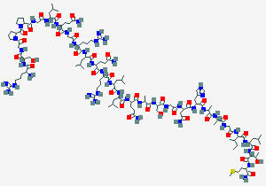 OREXIN B