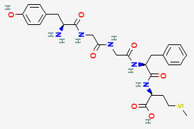 MET-enkephalin molecule