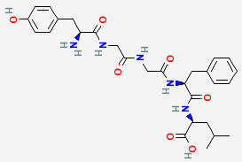 LEU-enkephalin molecule