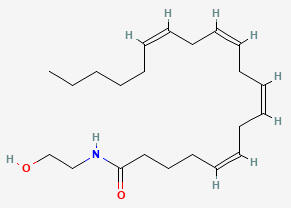 Anandamide Molecule